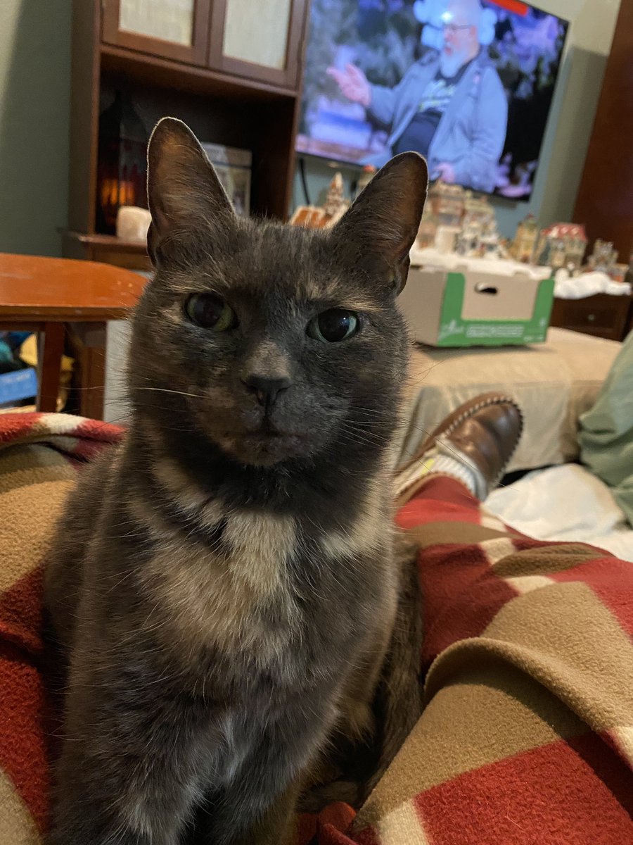 Von Glitschka tweet media