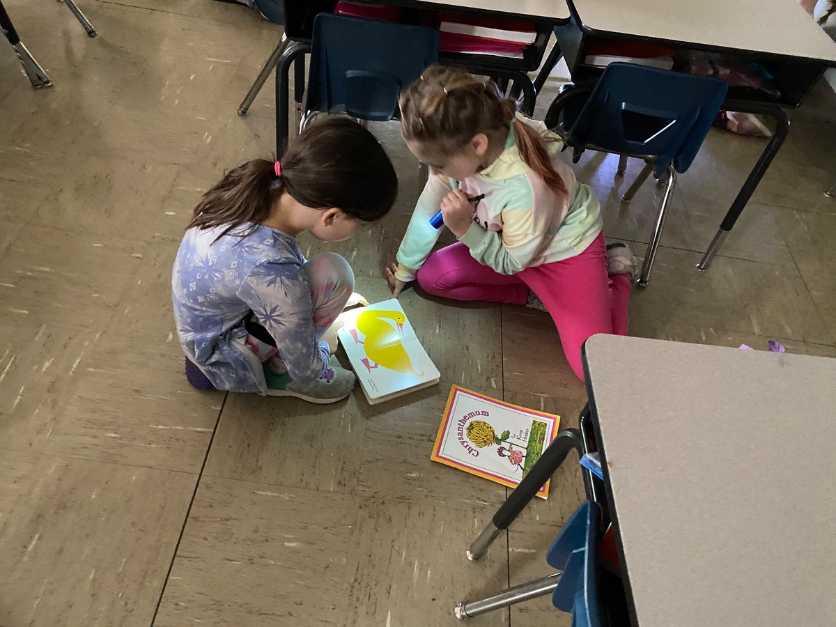 Angie Berni tweet media