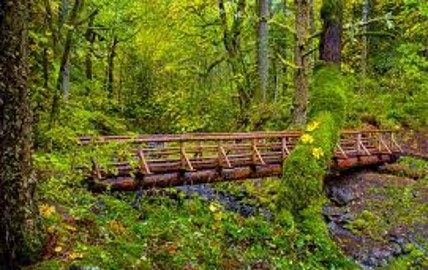 GGAYEAR3's tweet image. More pictures from our NTP writing group this week!  #sotofellowship #NationalTutoringProgramme #YoungWriters