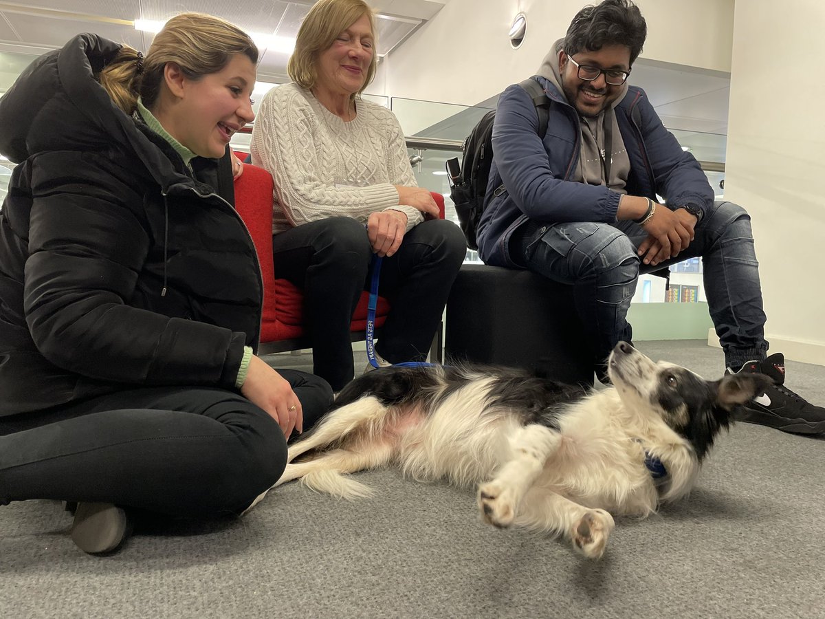 londonmetlib's tweet photo. Thank you @PetsAsTherapyUK and the five wonderful teams who visited us yesterday for some dog therapy in between exams.
We had a lot of fun and went away feeling far more relaxed and ready to get on with our days! 🦮🐾 https://t.co/ATbaFK9irr