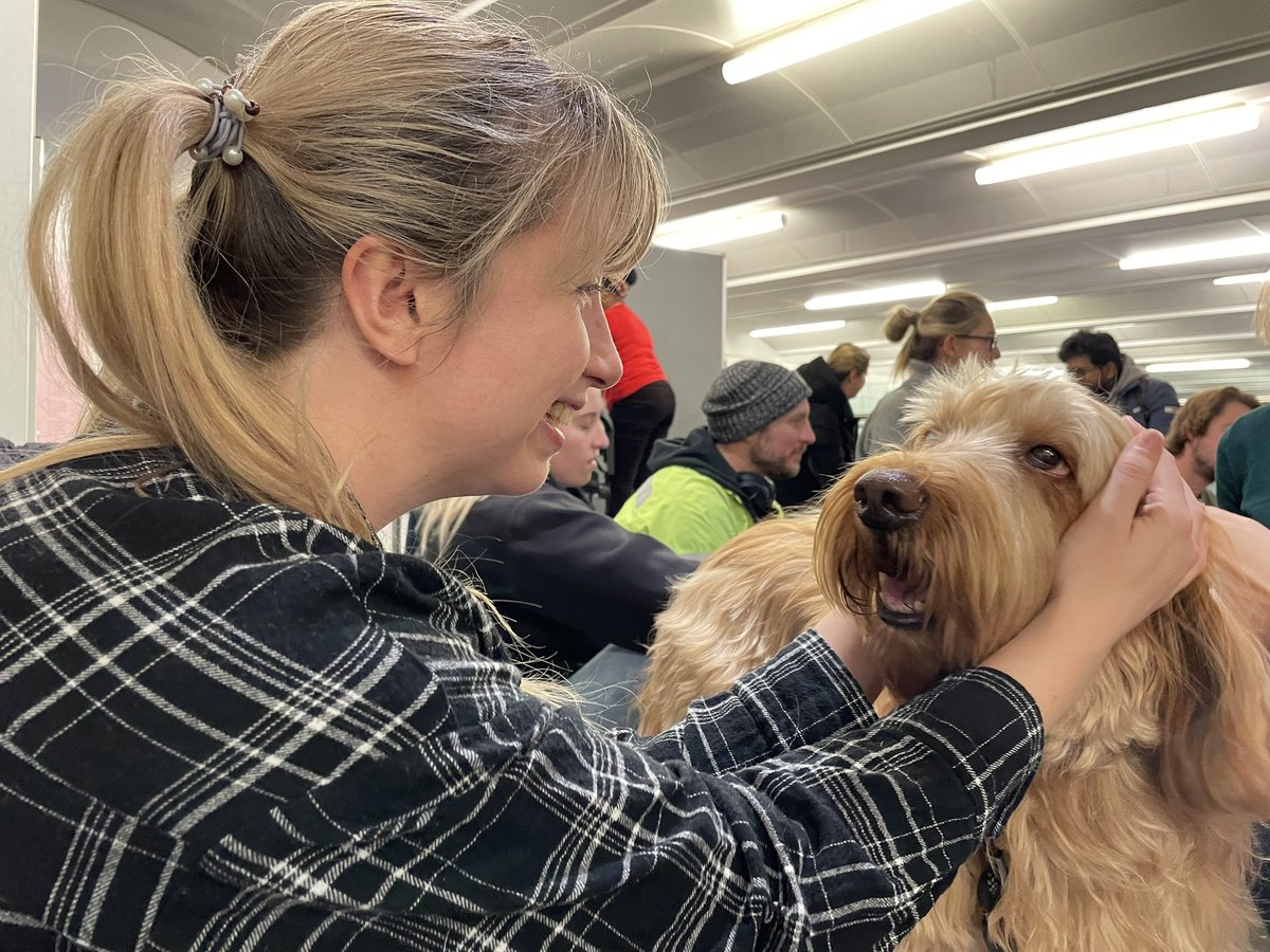 londonmetlib's tweet photo. Thank you @PetsAsTherapyUK and the five wonderful teams who visited us yesterday for some dog therapy in between exams.
We had a lot of fun and went away feeling far more relaxed and ready to get on with our days! 🦮🐾 https://t.co/ATbaFK9irr