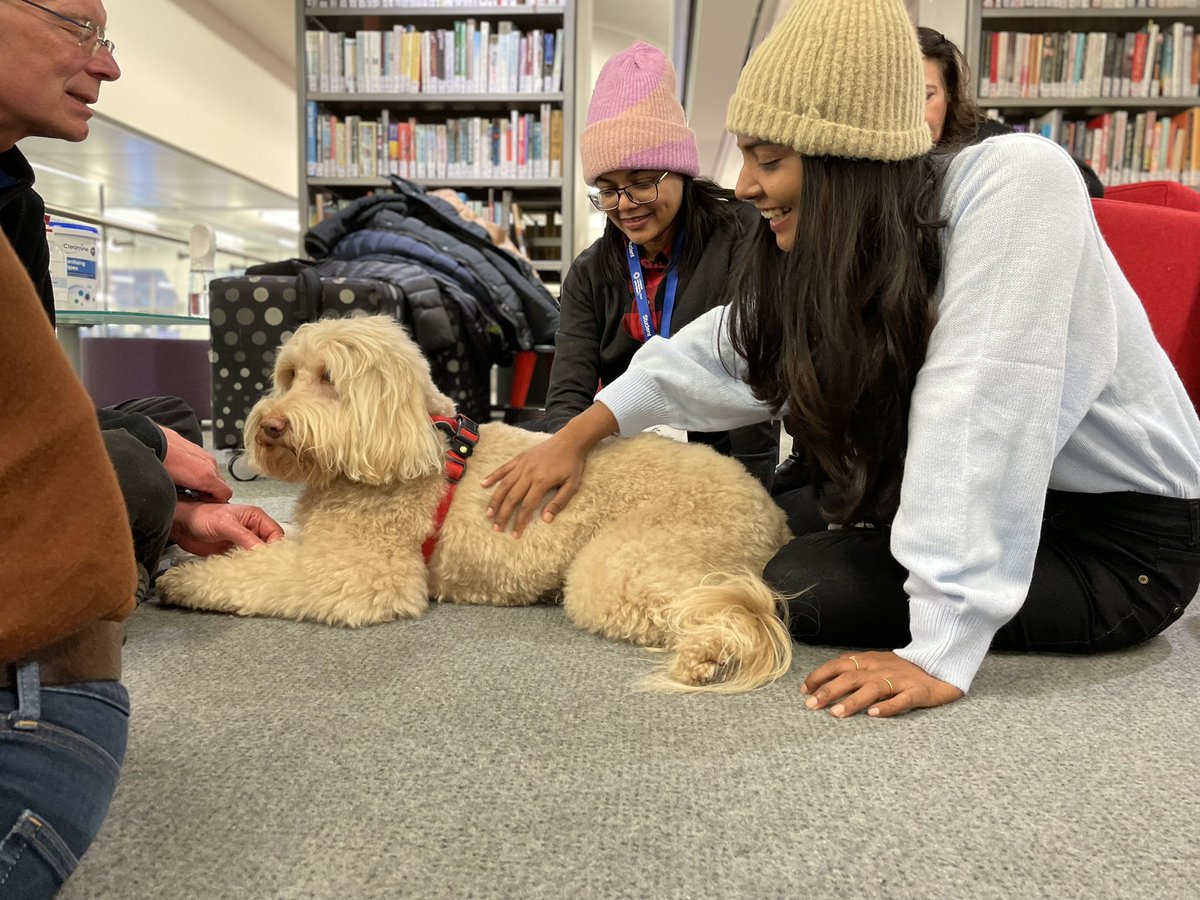 londonmetlib's tweet photo. Thank you @PetsAsTherapyUK and the five wonderful teams who visited us yesterday for some dog therapy in between exams.
We had a lot of fun and went away feeling far more relaxed and ready to get on with our days! 🦮🐾 https://t.co/ATbaFK9irr