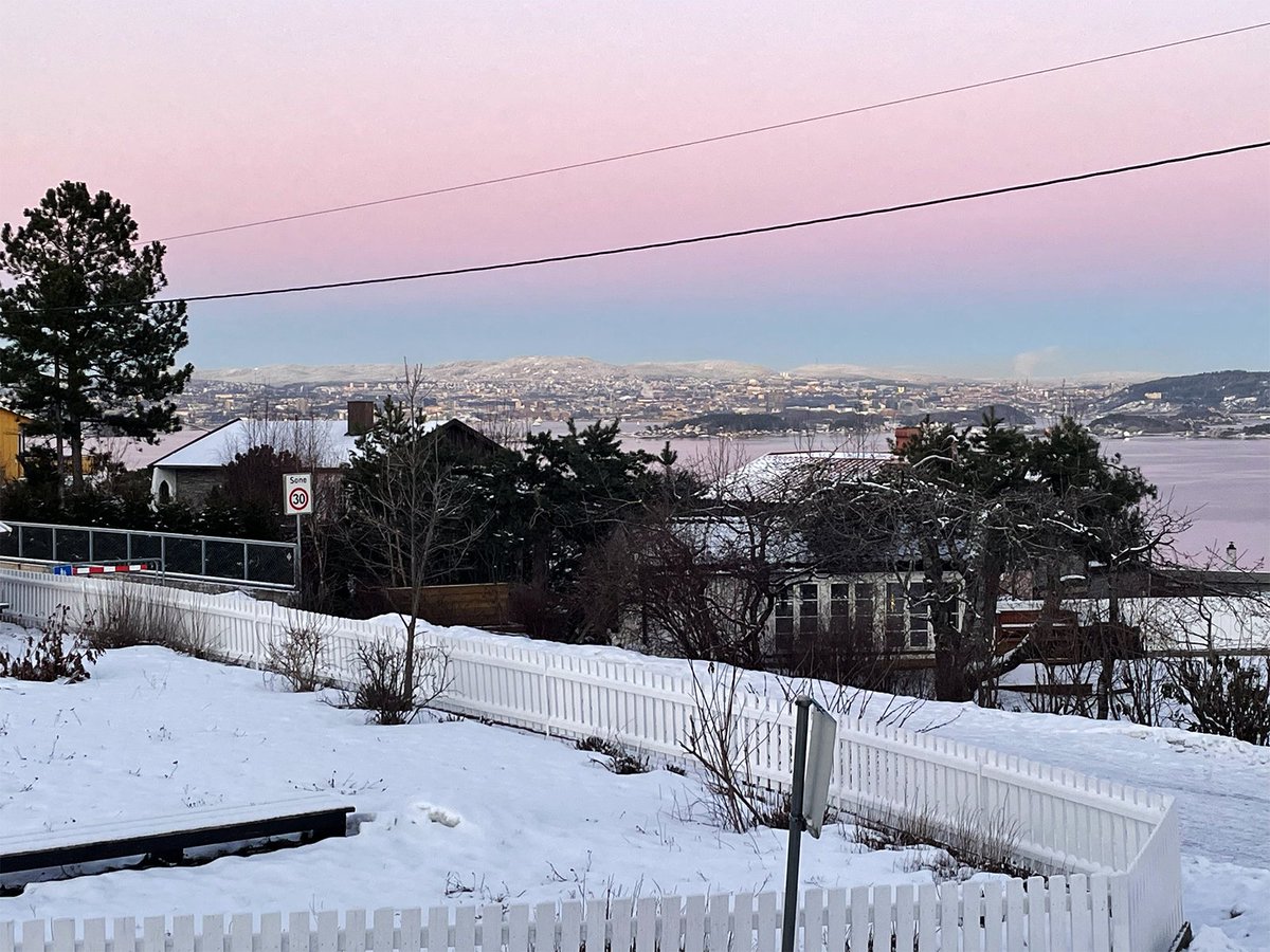 Marius Watz tweet media