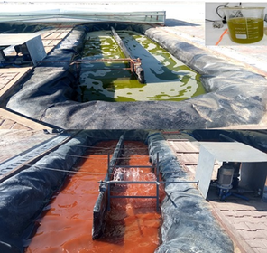 stesaida's tweet photo. Results of large-scale carotenogenesis of Dunaliella salina isolated in Sebkha Sedi El Heni designed by SAIDA scientific team as a major achievement in Tunisia within the framework of MedArtSal project.

#MEDARTSAL  #ENICBCMED  #SAIDA S.A https://t.co/XeOb2CX7Dv