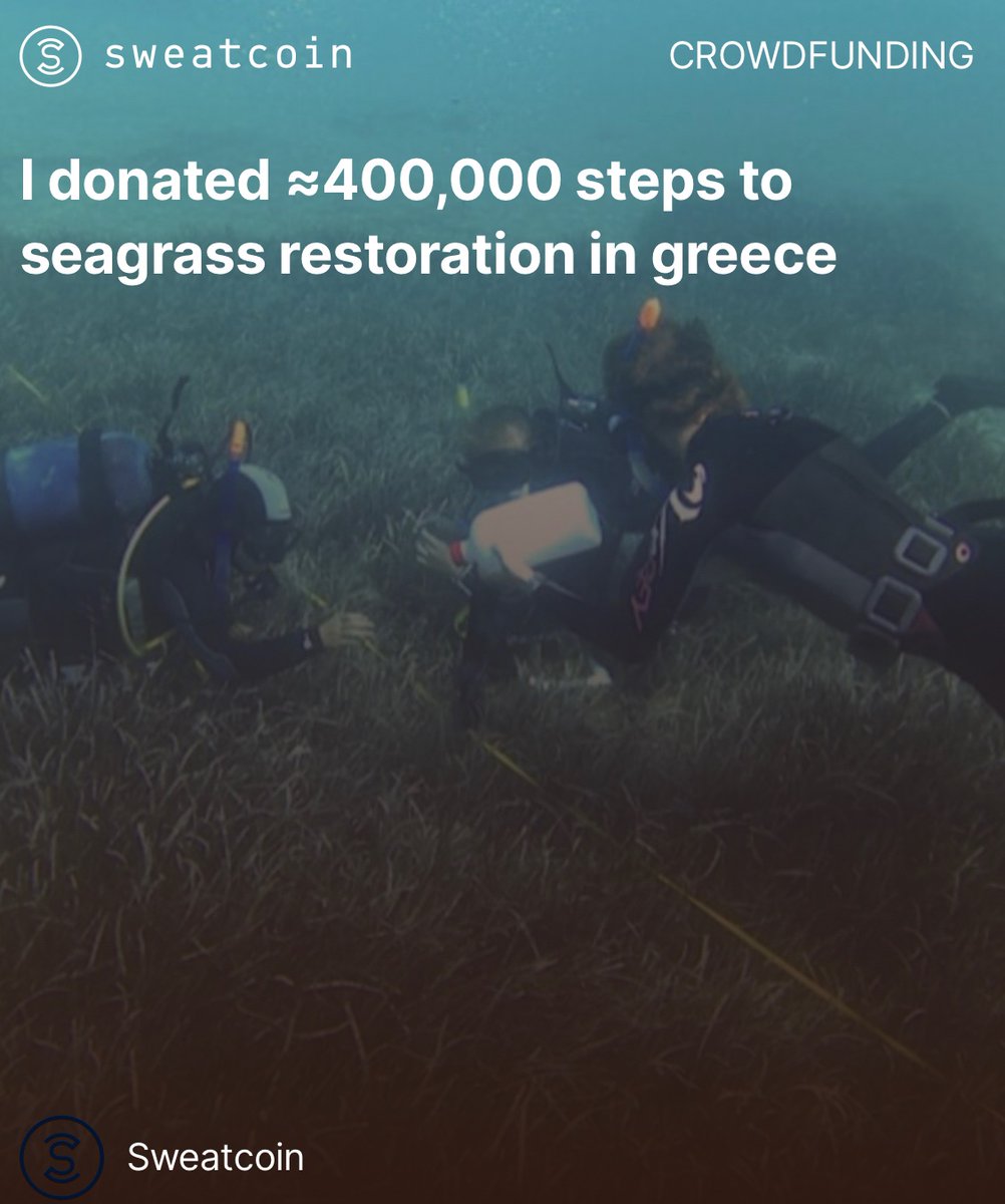 I donated ≈400,000 steps to seagrass restoration in greece sweatco.in