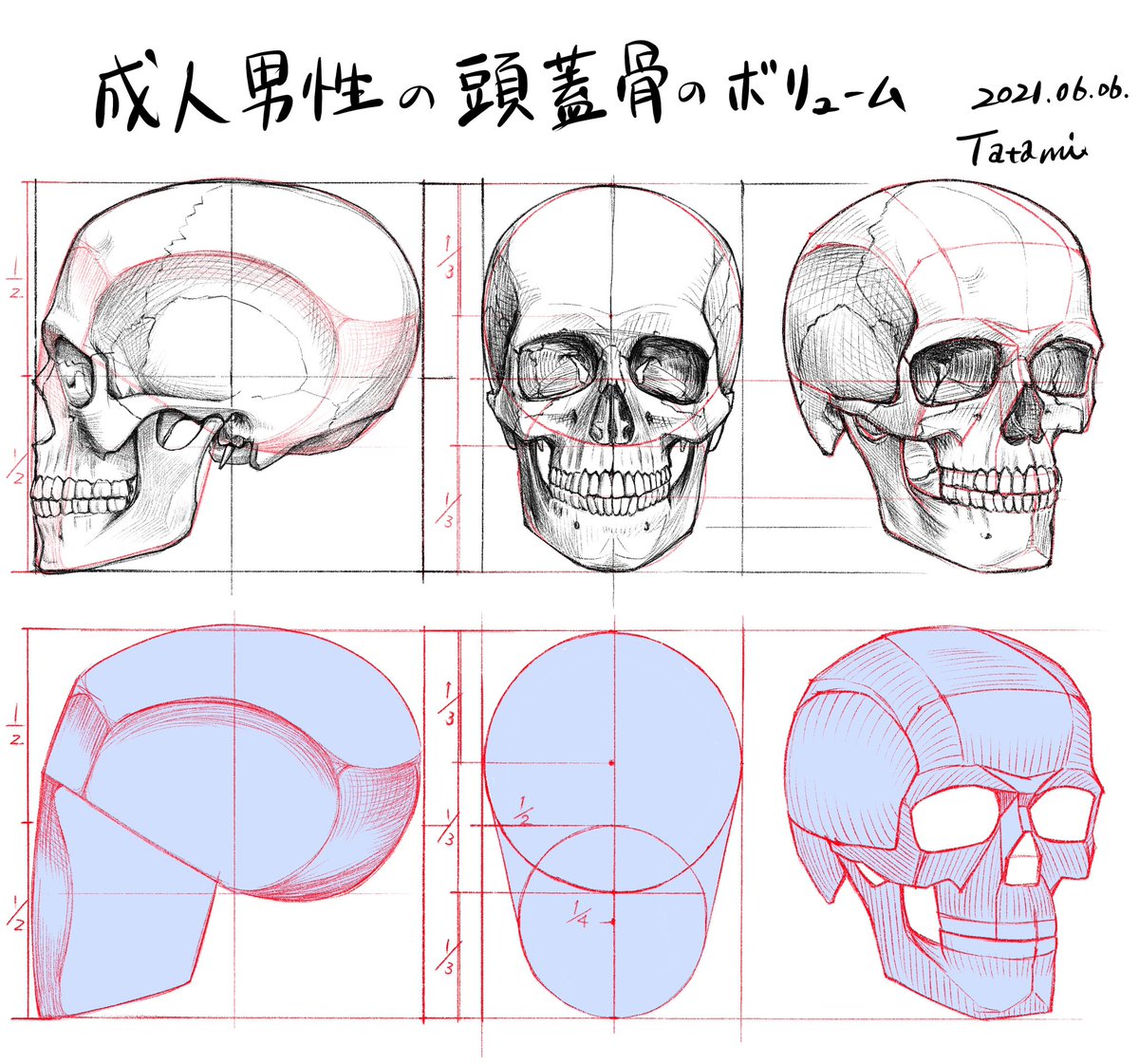 普段は建築設計をしていて、あいた時間みつけて解剖学スケッチを描くアカウントです。 