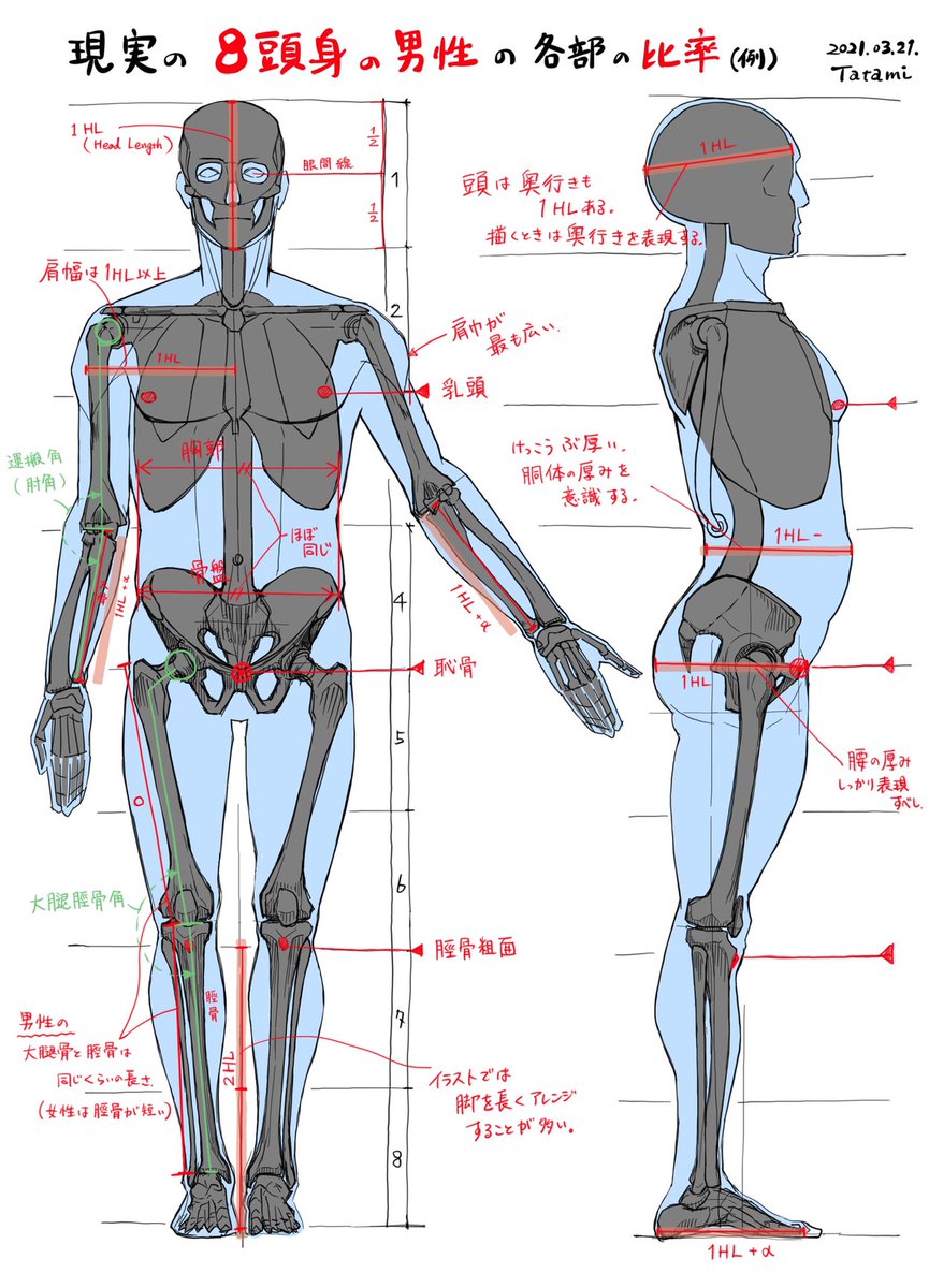 普段は建築設計をしていて、あいた時間みつけて解剖学スケッチを描くアカウントです。 