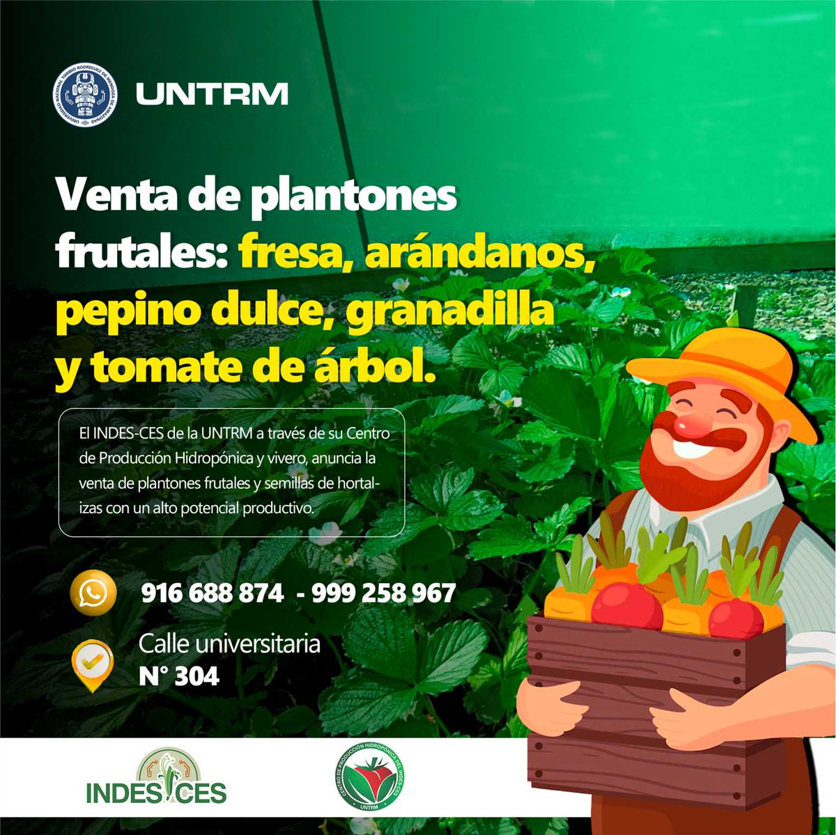cesindes1's tweet photo. ✅El @cesindes1  de la @untrm, a través de su Centro de Producción Hidropónica y vivero, anuncian la venta de plantones frutales y semillas de hortalizas con un alto potencial productivo 🍎🥒 https://t.co/yFBCjONsA1