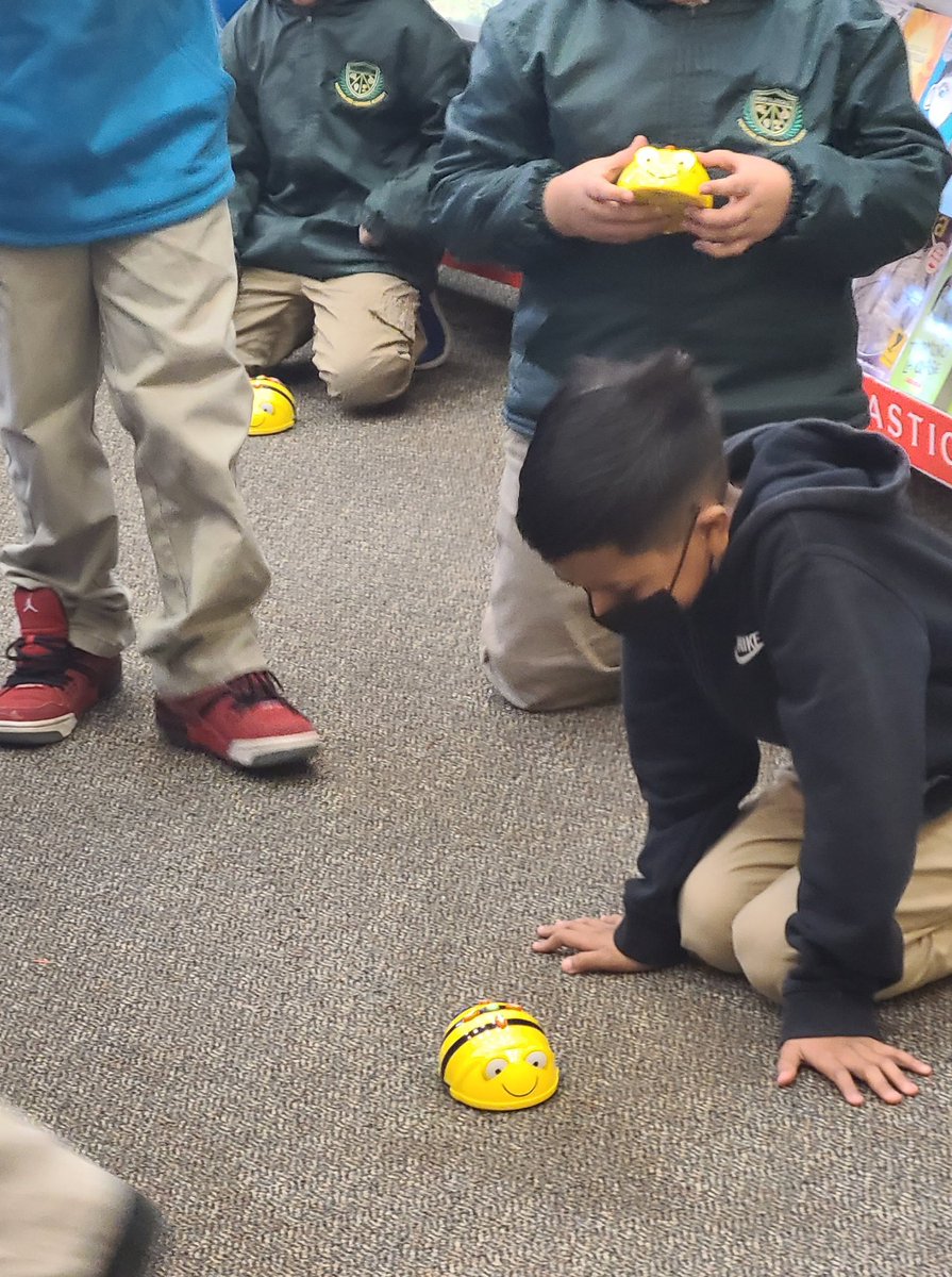 Mrs. Rosa tweet media