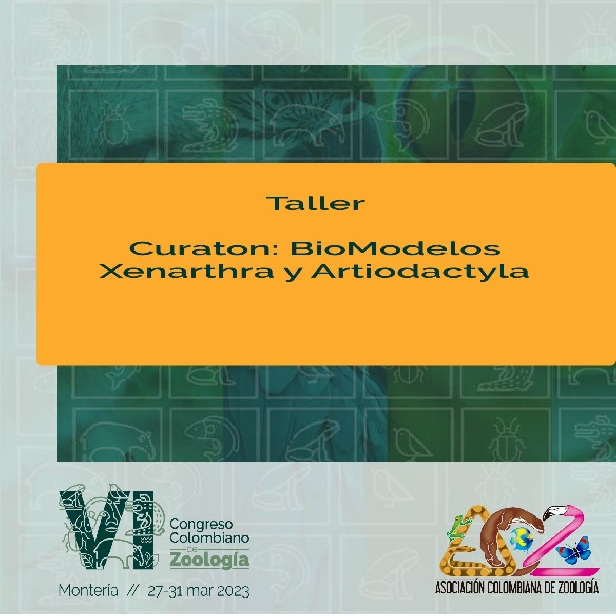 ACZ Colombia tweet media