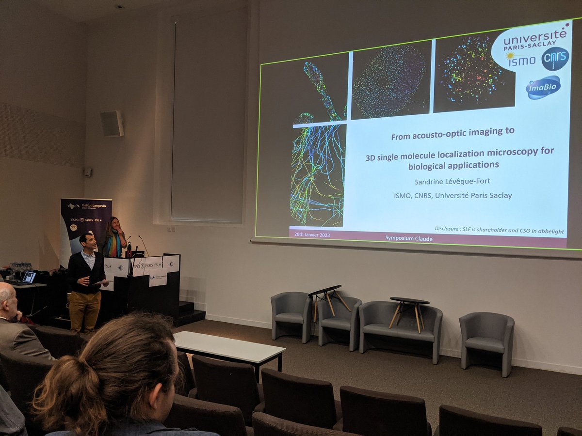 sara abrahamsson tweet media