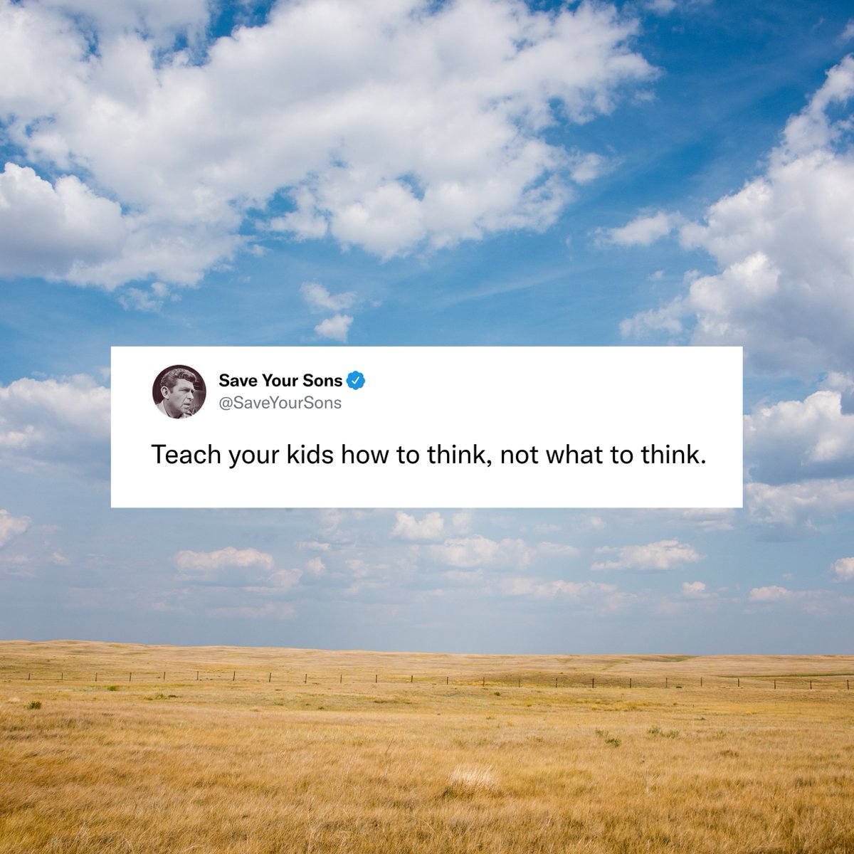 Harrison Schenck tweet media