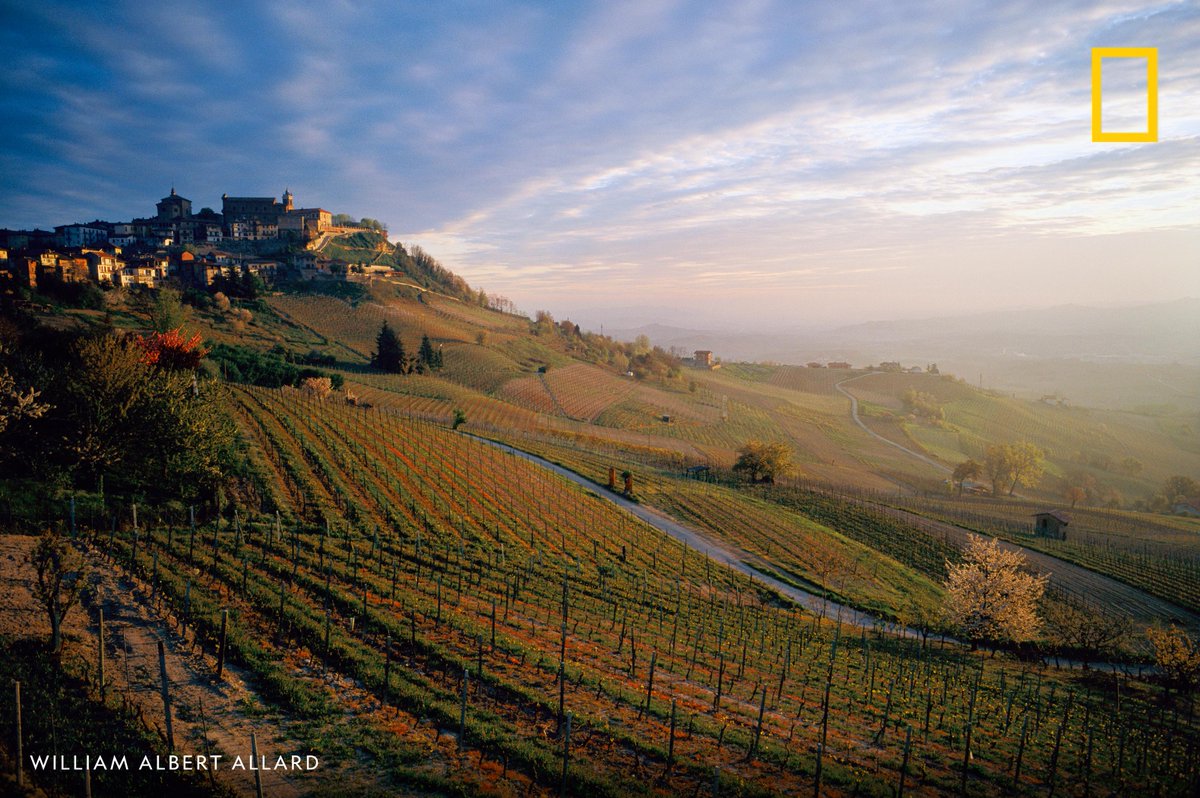 skkweller's tweet photo. Vineyards spread over hills of the hilltop town of La Morra in Piedmont, Italy https://t.co/yHMqxpLuVe