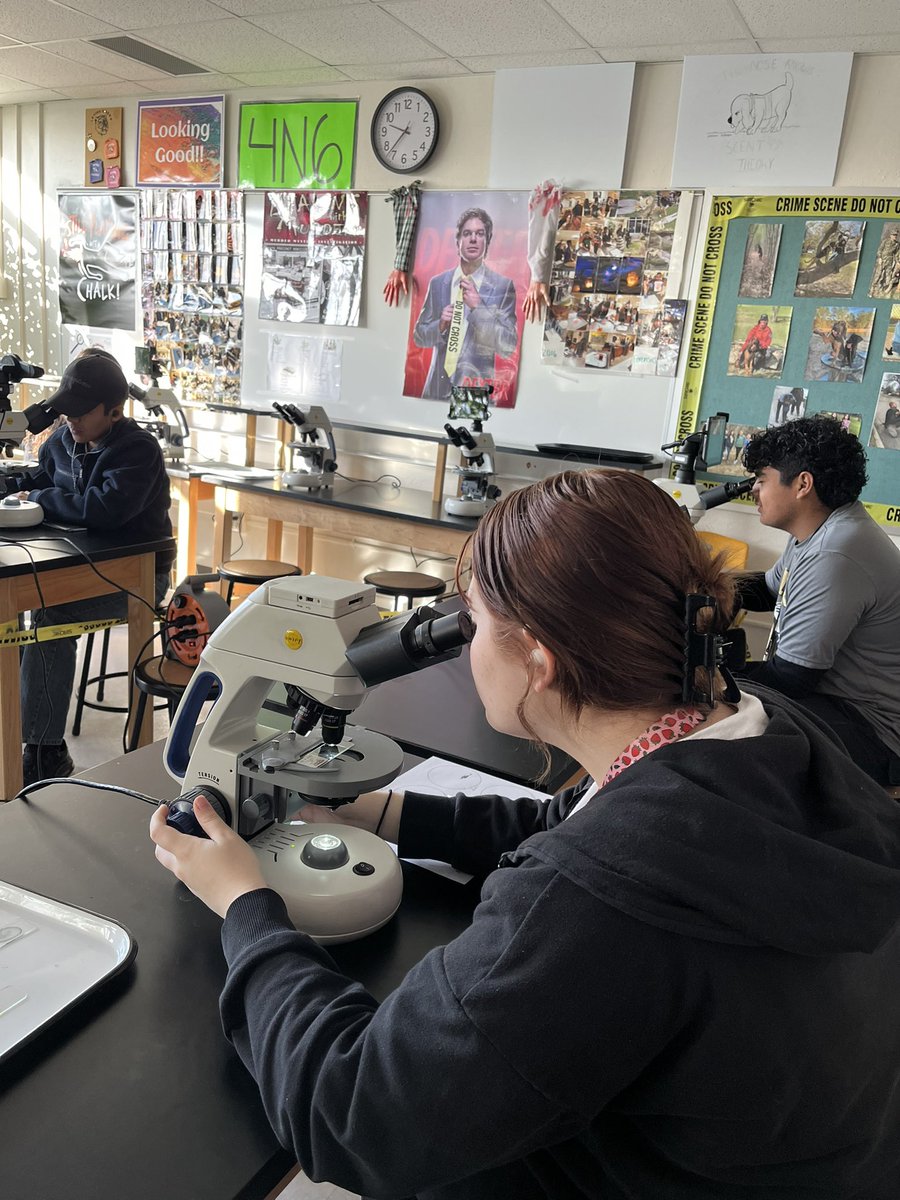 irvinghighCSI's tweet photo. Serology analysis @IrvingISD @iisdCTE @IrvingHigh #irvinghighcsi https://t.co/JFmfuIzeLS