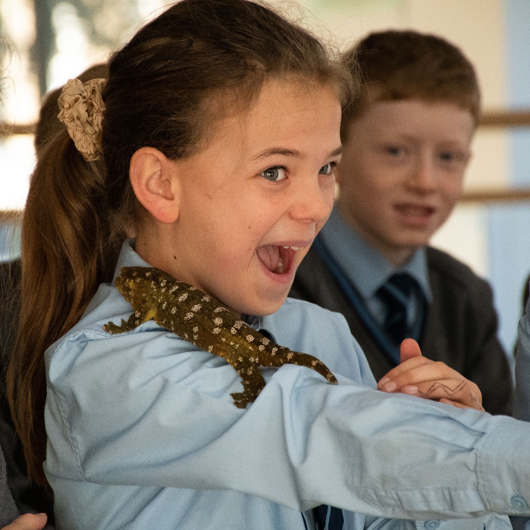 Witham Hall School tweet media