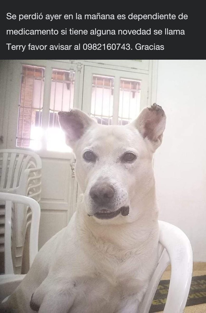 Se perdió en el barrio Vista Alegre de Asunción, zona plaza Batallón 40. Favor rt y si saben algo llamar al nro mencionado. Está bajo estricta medicación. Gracias.
