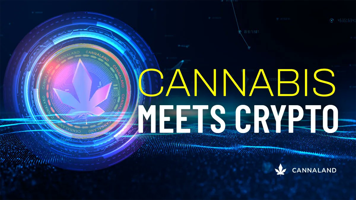 Cointelegraph On Twitter WE ARE LIVE GM Cointelegraph Fam We cointelegraph-on-twitter-we-are-live-gm-cointelegraph-fam-we
