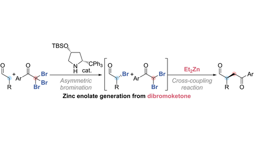 Diethylzinc-Mediated #CrossCoupling Reactions between Dibromoketones and Monobromo Carbonyl Compounds (Kano) onlinelibrary.wiley.com/doi/10.1002/an…