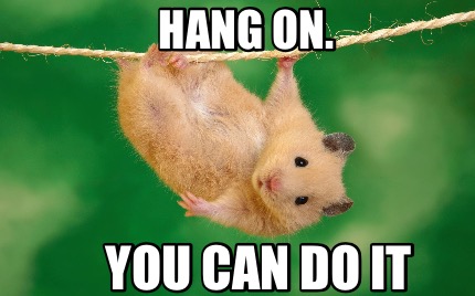 Whatever mountain you may be facing, believe in yourself. You've got this.