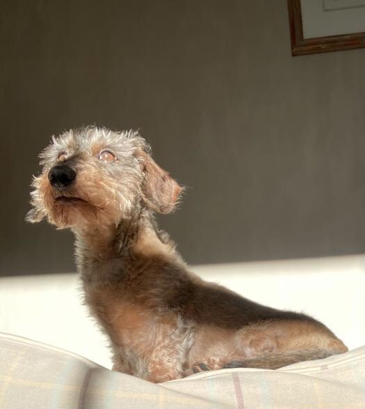 Front cover of my forthcoming autobiography, simply entitled, Dudley 👊💥