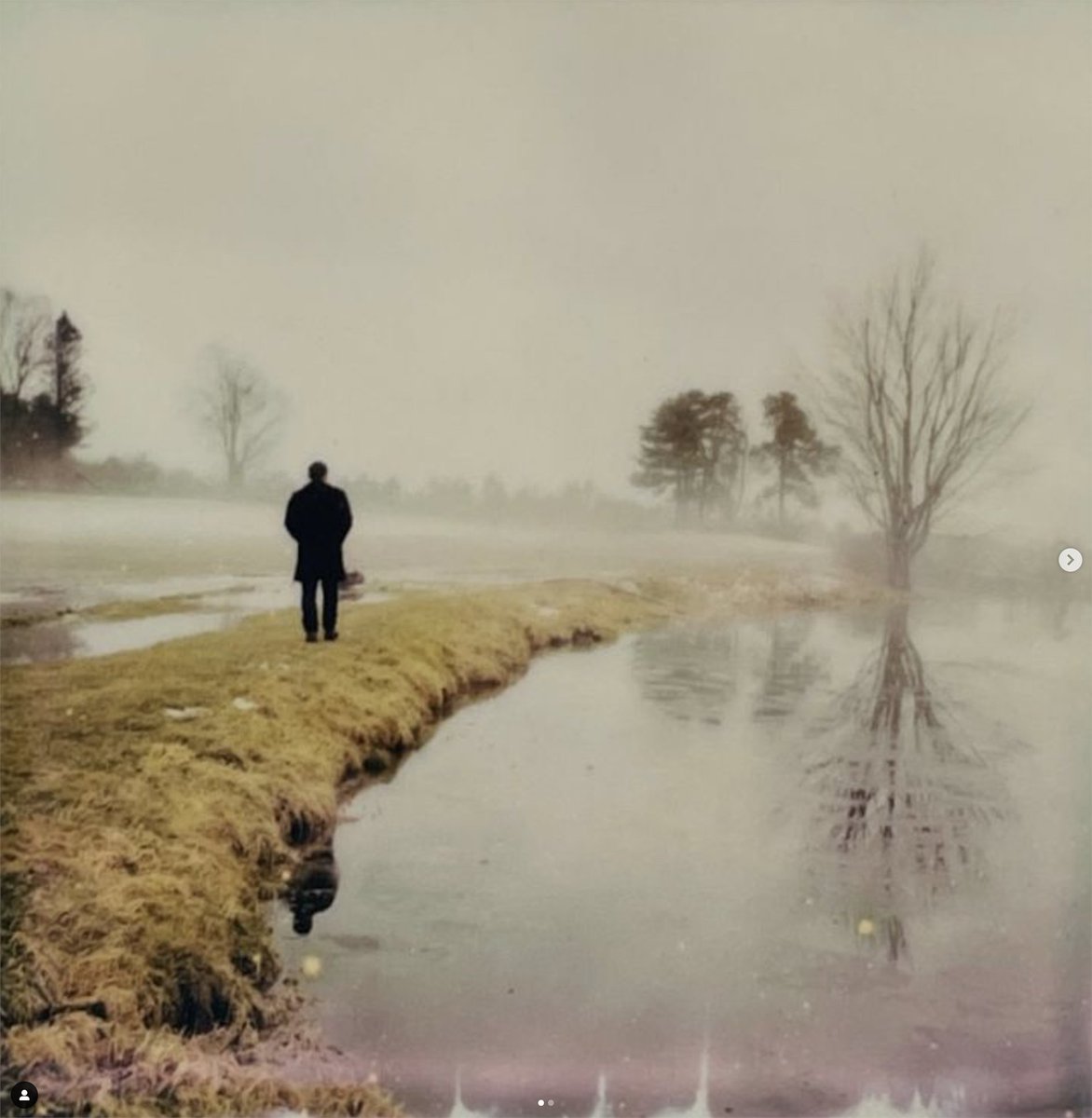 We are back from our long winter break and hope that you are all having a great start in the New Year.
In this occasion we've selected this wonderful #Polaroid scene as our photo of the week.
To participate go to instagram and ht your photos #analogmagazine