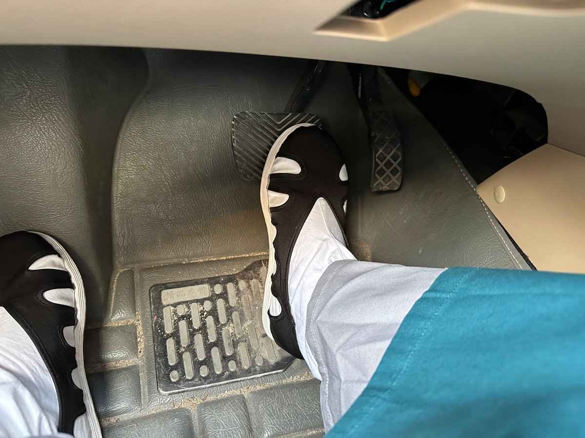 出门游玩的小道童