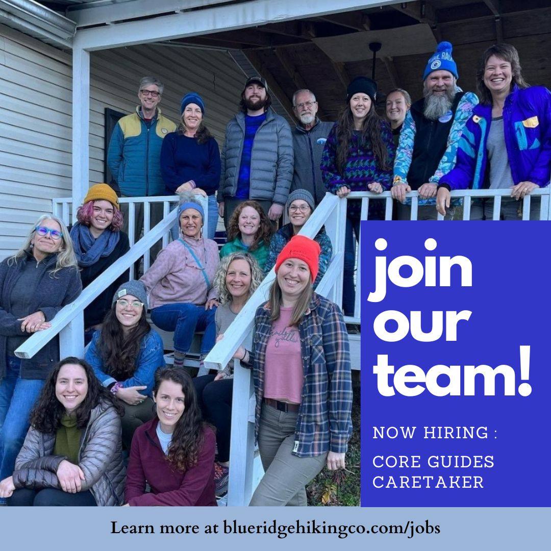 Have you heard?  We are hiring!  
We're currently looking for enthusiastic, outgoing hikers and adventurers for Core Guide and Caretaker positions.
Check out blueridgehikingco.com/jobs to learn more.
#backpackingguide #guidelife #trailsyall #hikelocal