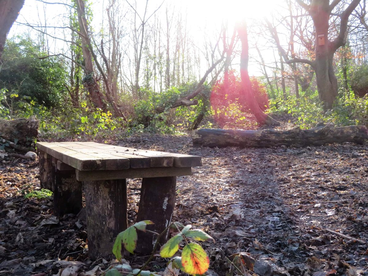 The Benfield Valley Project tweet media