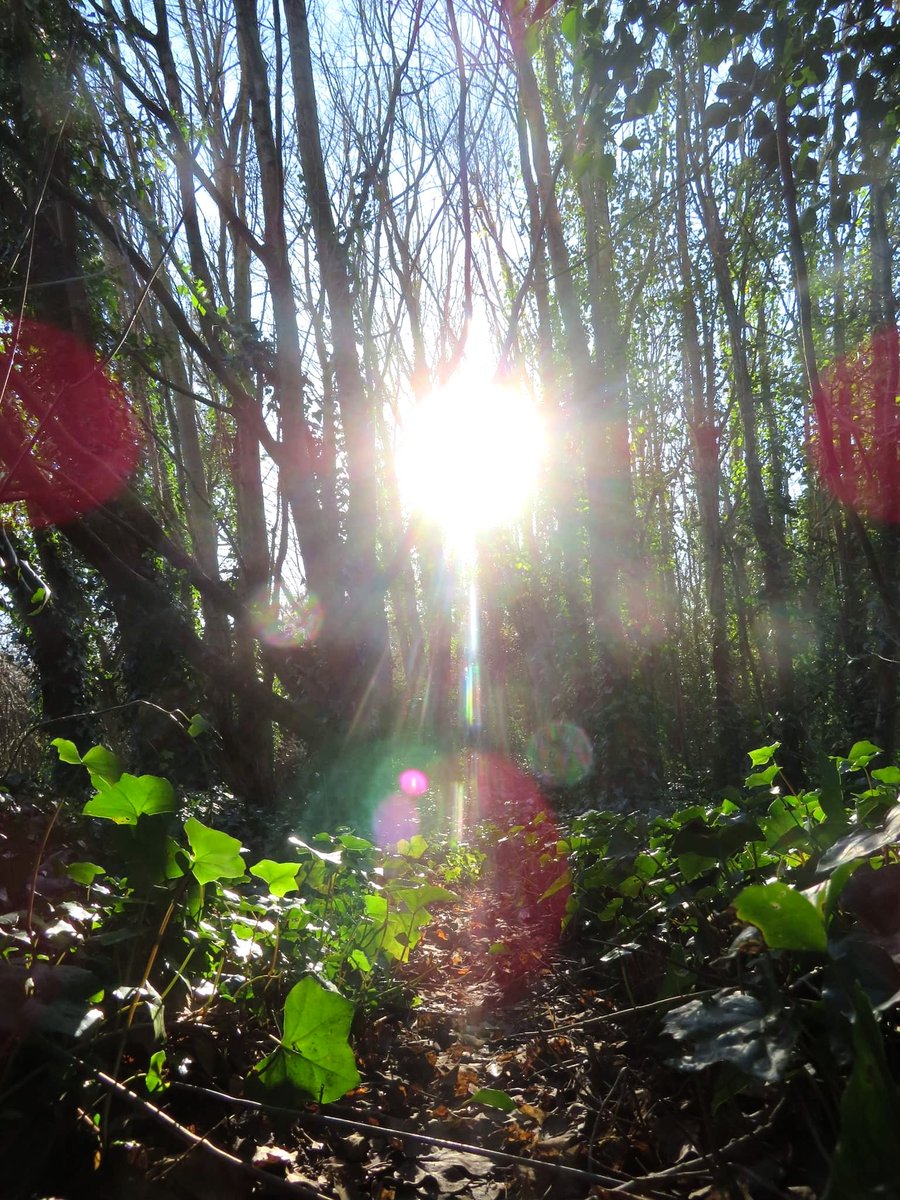 The Benfield Valley Project tweet media