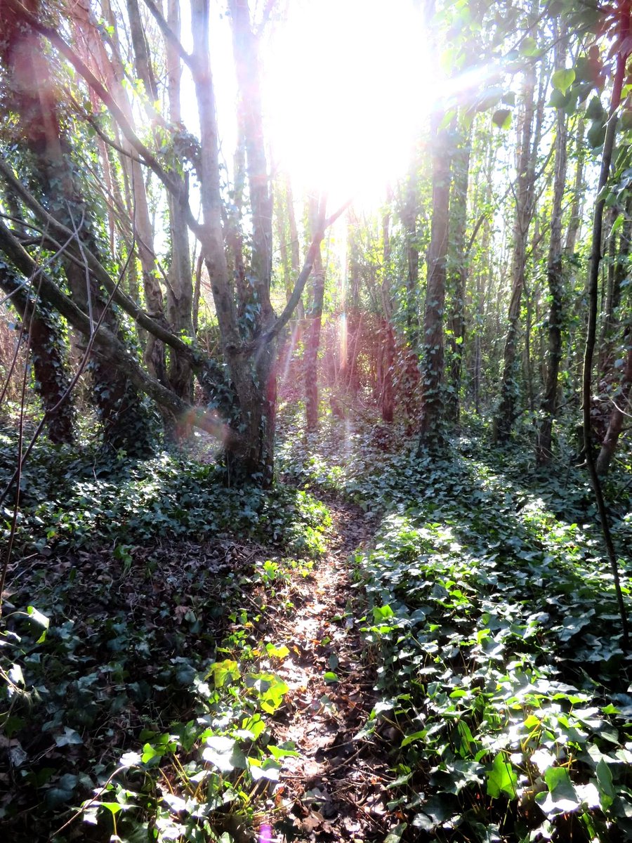 The Benfield Valley Project tweet media