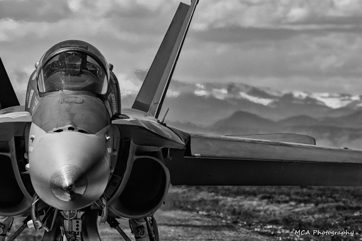 mca_photography's tweet photo. Changing things up a little for this week's #FrontEndFriday & #FlashbackFriday, as we get face-to-face with one of the the last Legacy F-18s from VFA-204 prepping to head to the boneyard on the ramp at @wingsmuseum #ExplorationofFlight last summer.
#FighterFriday
@FlyCentennial https://t.co/eXbm6i9RNY