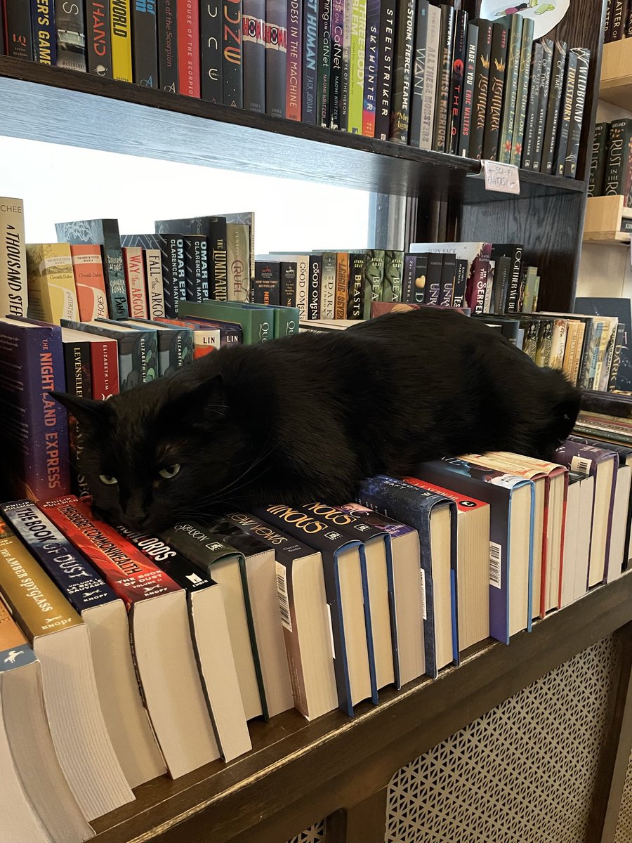 Wild Rumpus Books tweet media