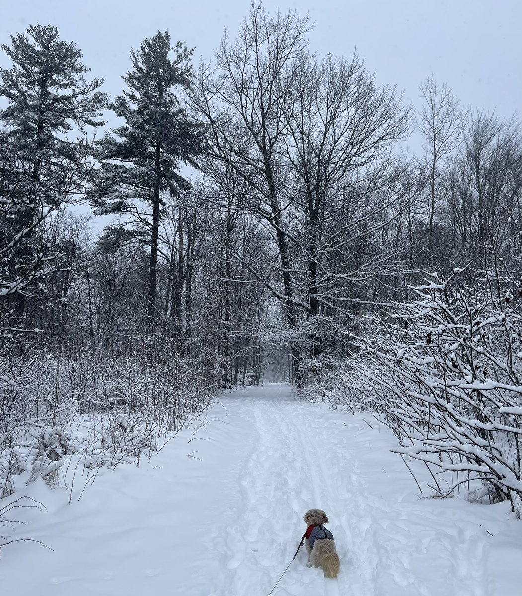 It might not be my favourite season, but its beauty stops me in my tracks. #mindfullness #grateful #joy