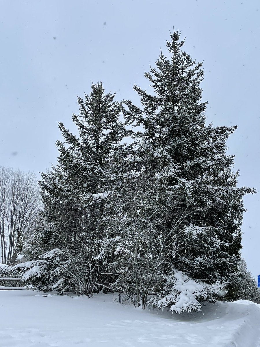 Karen Wilson (she/her) tweet media