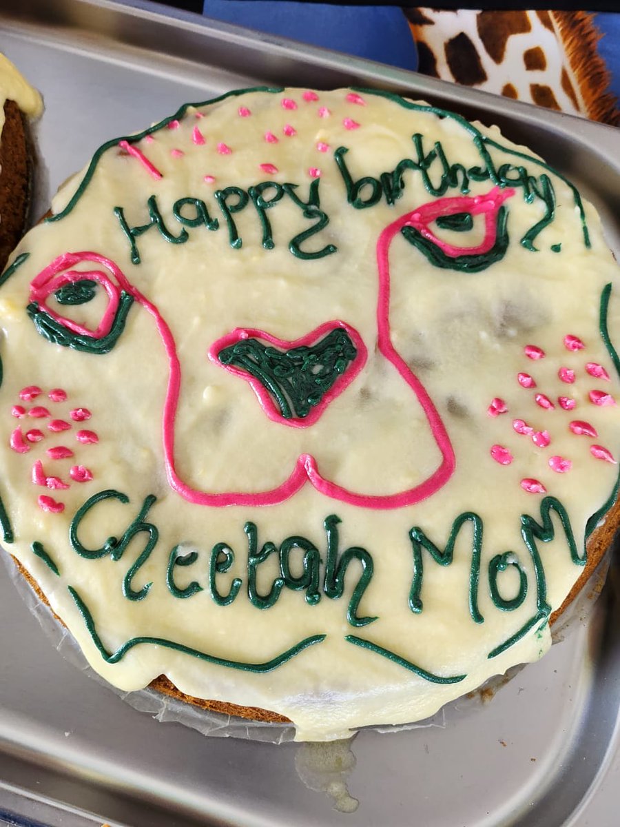 CCFCheetah's tweet image. #HappyBirthday to Dr. Laurie Marker! She's dedicated her life to saving the cheetah by founding CCF, built a world-class Field Centre in #Namibia (#Somaliland's new Centre is nearly finished) and built a network of supporters and partners around the world. Join us in celebrating!