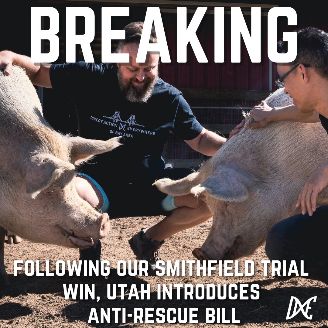 BREAKING: The Utah legislature has unveiled a new bill explicitly criminalizing animal rescue, likely in response to our #SmithfieldTrial victory. (1/4)