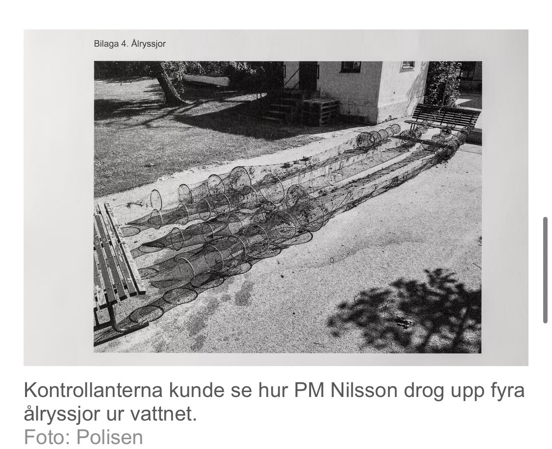 Björn Werner tweet media