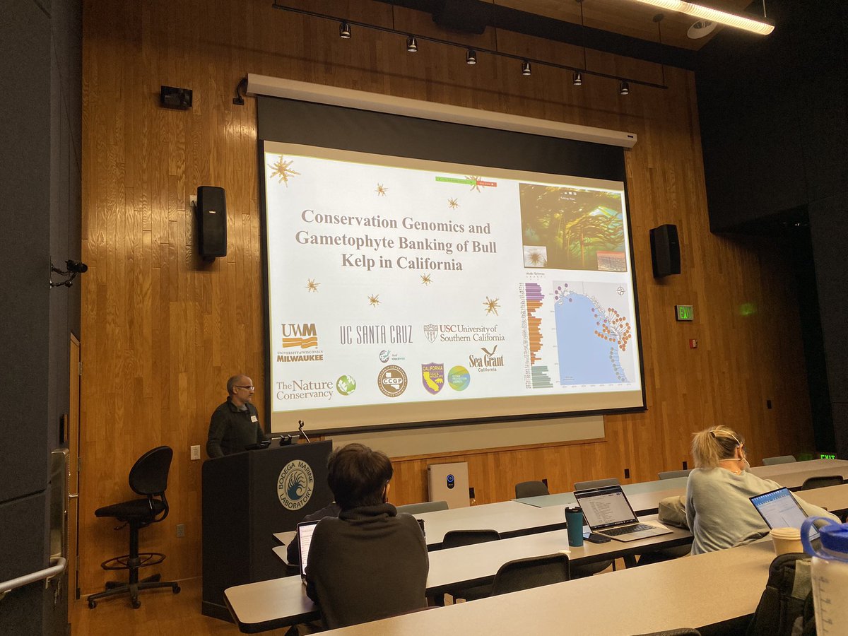 michaelesgro's tweet photo. At @ucdavis @bodegamarinelab today for a wrap-up workshop on the 6 #kelp research projects funded by @OPC_California @CASeaGrant @CaliforniaDFW back in 2020. Excited for a day of science geared toward solutions to the kelp crisis in CA! Also can’t beat this view! https://t.co/cDaVrcopbl