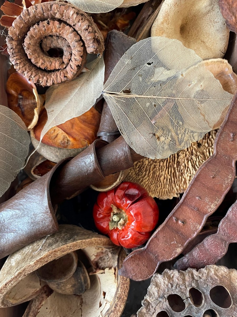 Starbeck Educational Resources tweet media