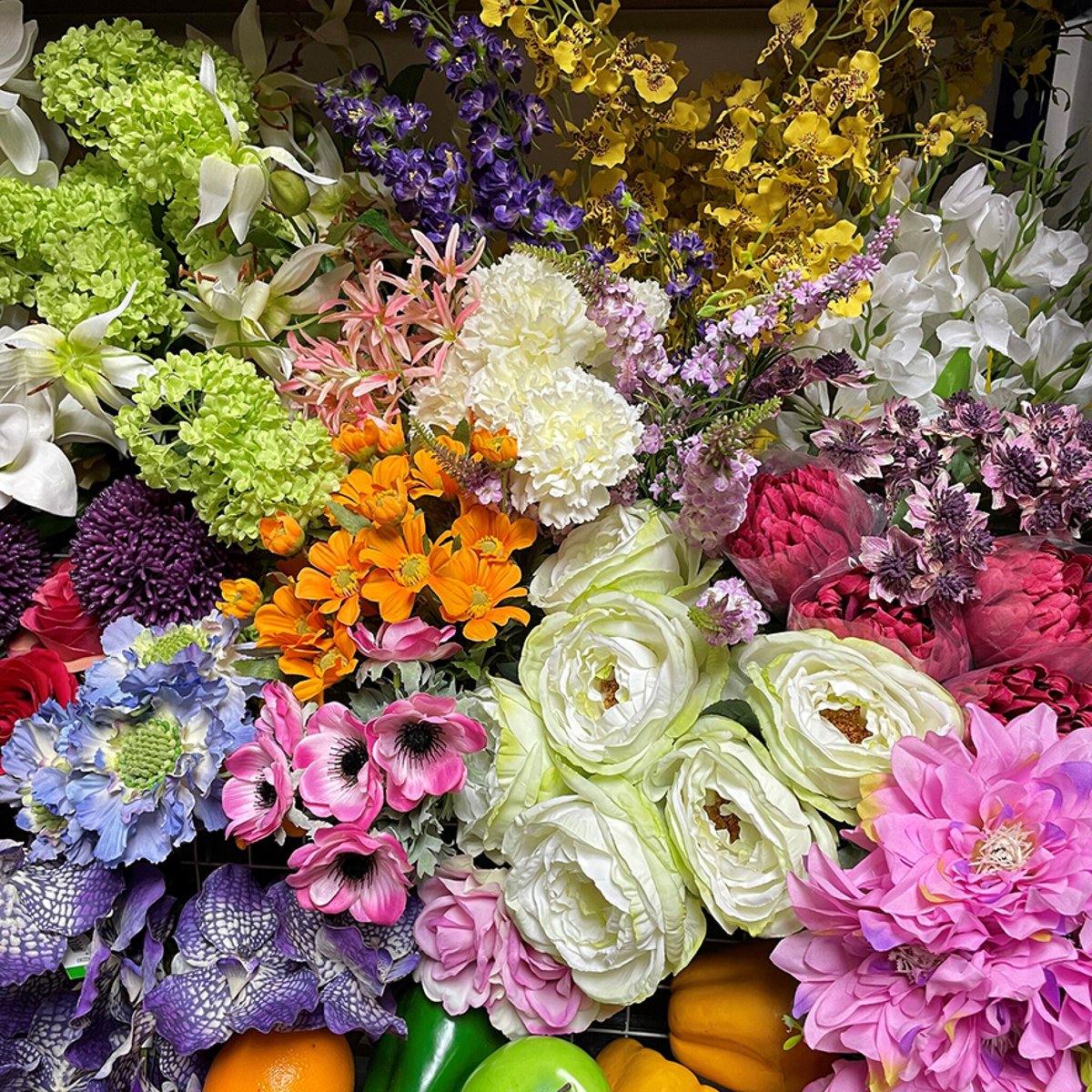 Starbeck Educational Resources tweet media