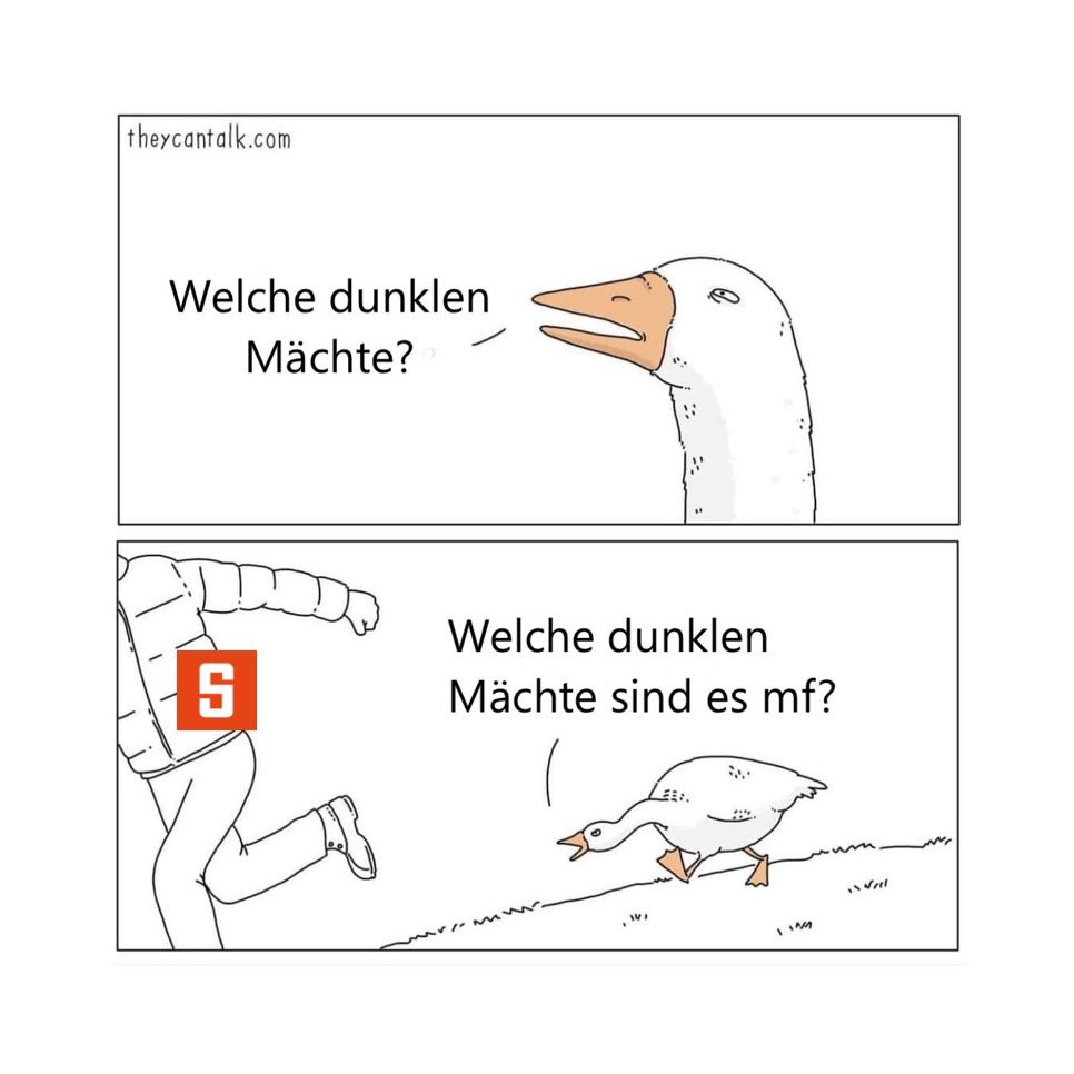 wofür stehen die grauen herren sag es