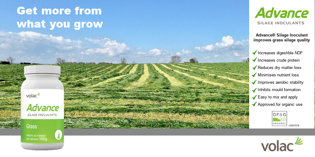 Feed_Additives's tweet photo. Stock up early with Advance Grass silage inoculant in advance of this years silage season. #agriculture #farming https://t.co/bbNhSJf8OU https://t.co/ZEA2eaAjcf