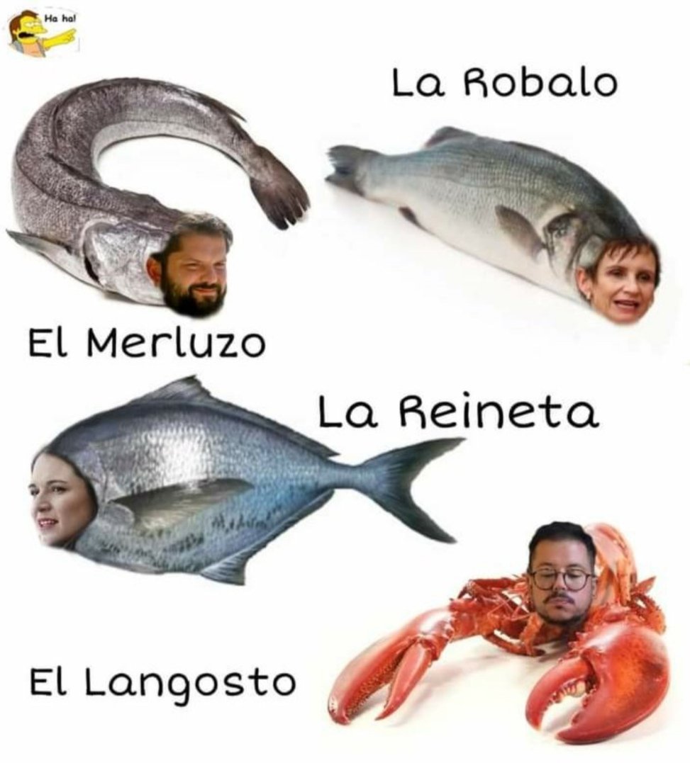 AngelDLaCruz_'s tweet photo. Saquen a ese animal de la Moneda!
#RenunciaBoric #MERLUZOinepto #elsag #leon https://t.co/CKqf6lO10L