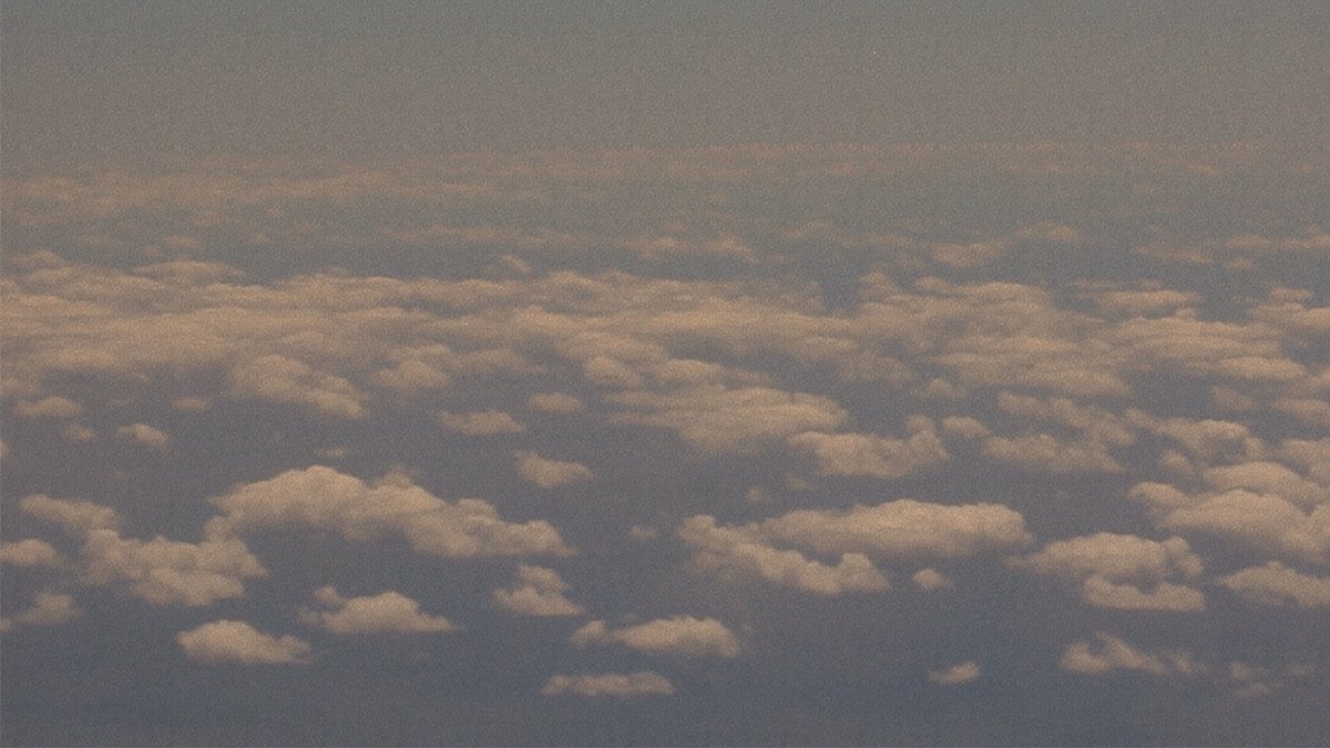 tapecollective's tweet photo. @LSFF '23 is now under way! What better way to celebrate than to introduce our final special event for this year's fest: The Short Films of @miryam_charles + Q&amp;A, host @JonathanAliTT @twelve30coll 

29 Jan @ICALondon 
🎟️ https://t.co/ifEd9Q2sMs https://t.co/6AvbkkwoU0