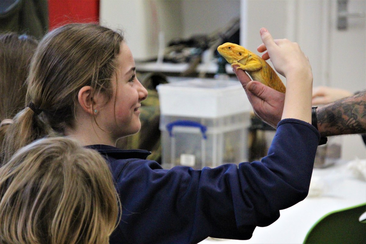 RoedeanSchool's tweet photo. For the past two weeks, the Year 7s have had a visit from @jawsnclaws to accompany their Geography unit studying global biomes. Bearded dragons, tree frogs, pythons, African snails and a red-footed tortoise were all pulled from Phil's bottomless bags! #RoedeanAcademics https://t.co/VYjJCWqNwb