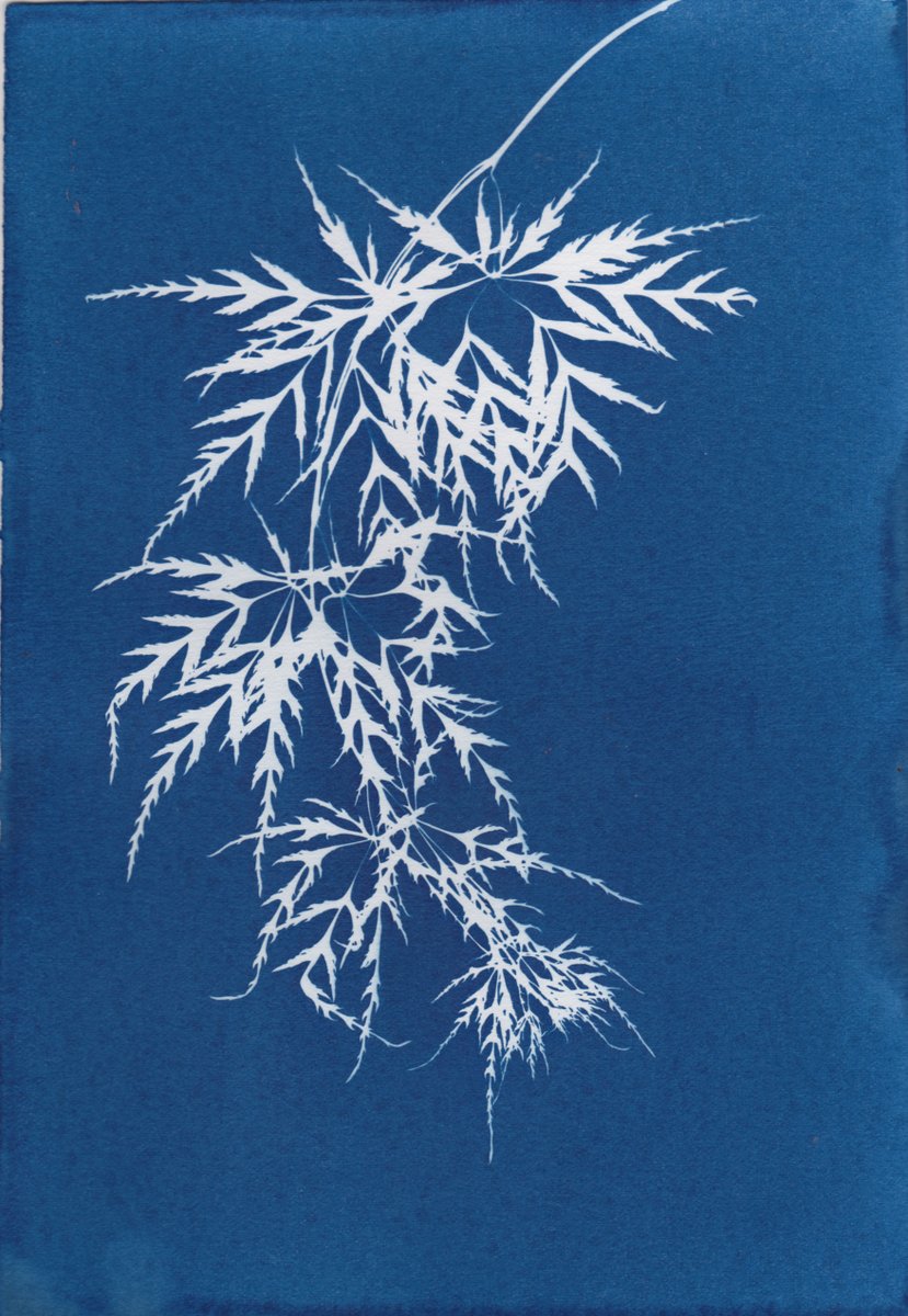 Studio Pavilion tweet media