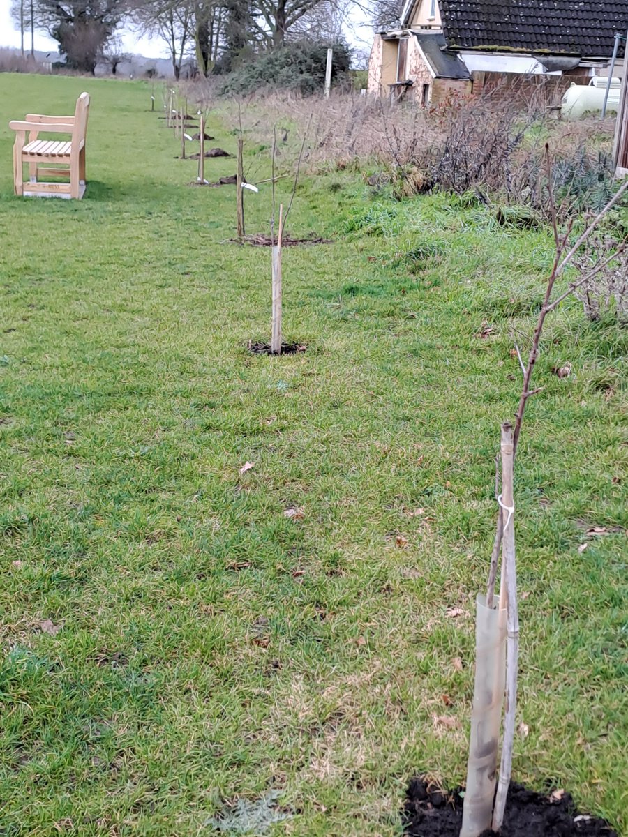 Suffolk_Enviro's tweet photo. Tree planting is well underway, we have planted over 7000 trees across 14 different sites in Suffolk. Here are a few pictures of Troston playing field with their new trees. Thank you to everyone who has got involved!
#suffolk #treeplanting #climatechange #hedgerow #environment https://t.co/uWDIVqVQ9H