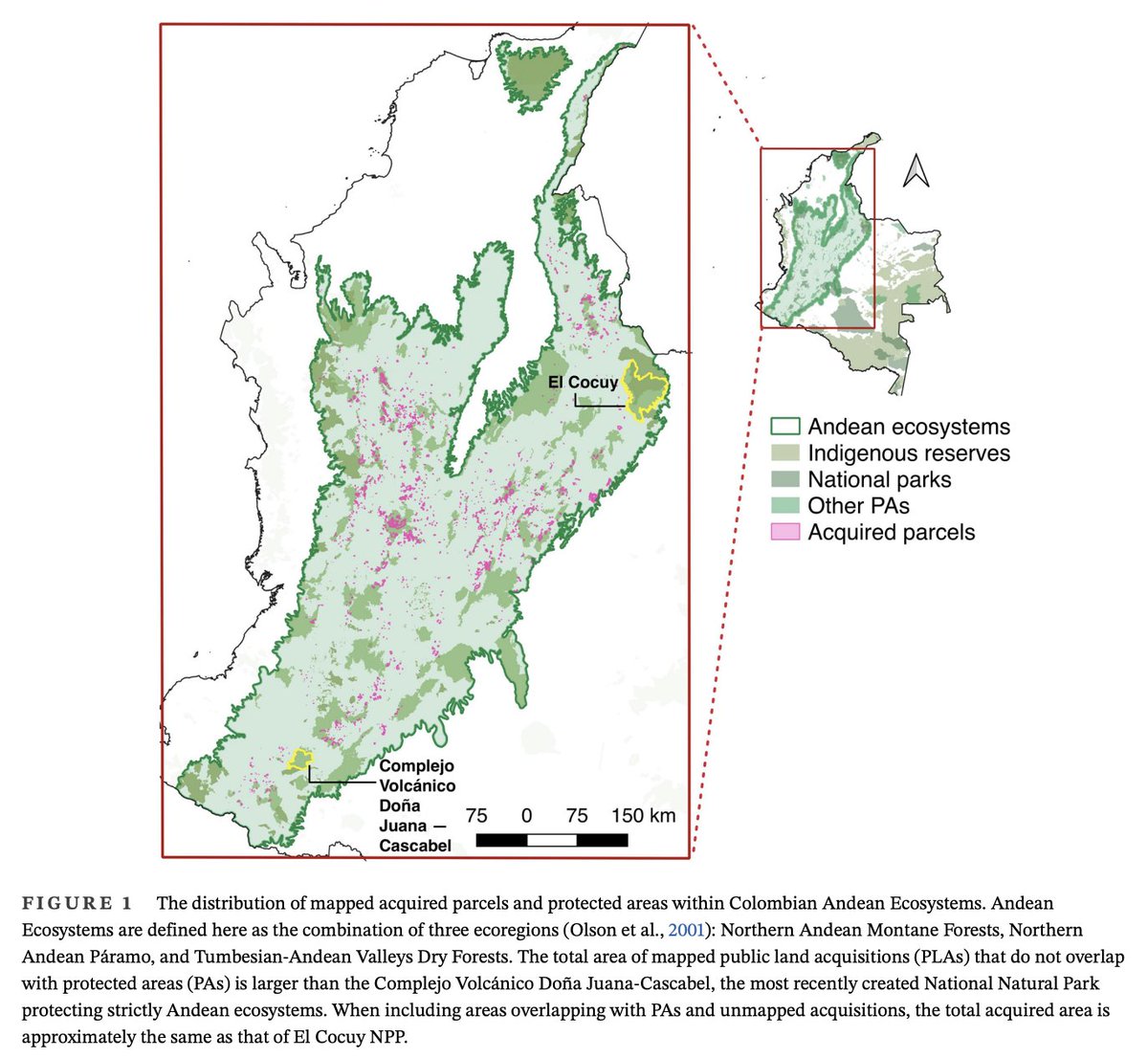 🚨 Interested in OECMs in the tropics (🇨🇴 Andes)? Using a novel dataset of >7000 public land acquisitions (PLAs) for watershed protection + surveys and interviews, we study the scale, spatial allocation, & constraints of PLA implementation & examine their conservation benefits!