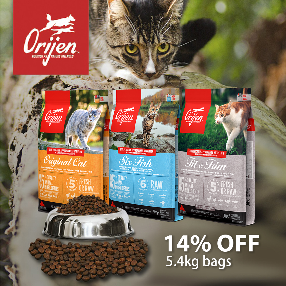14% OFF Orijen Cat 5.4kg bags! Quality pet food at unbeatable prices

jurassicbark-online.co.uk/collections/or…

#CatsofTwittter #catfood #petsupplies