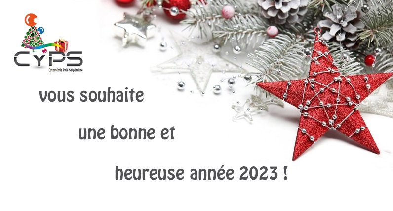 CyPS_SU_FM's tweet image. Toute l&apos;équipe vous souhaite une bonne année 2023 ! ✨🎉 Nous vous attendons sur la plateforme pour une nouvelle année pleine de succès ensemble. 💪